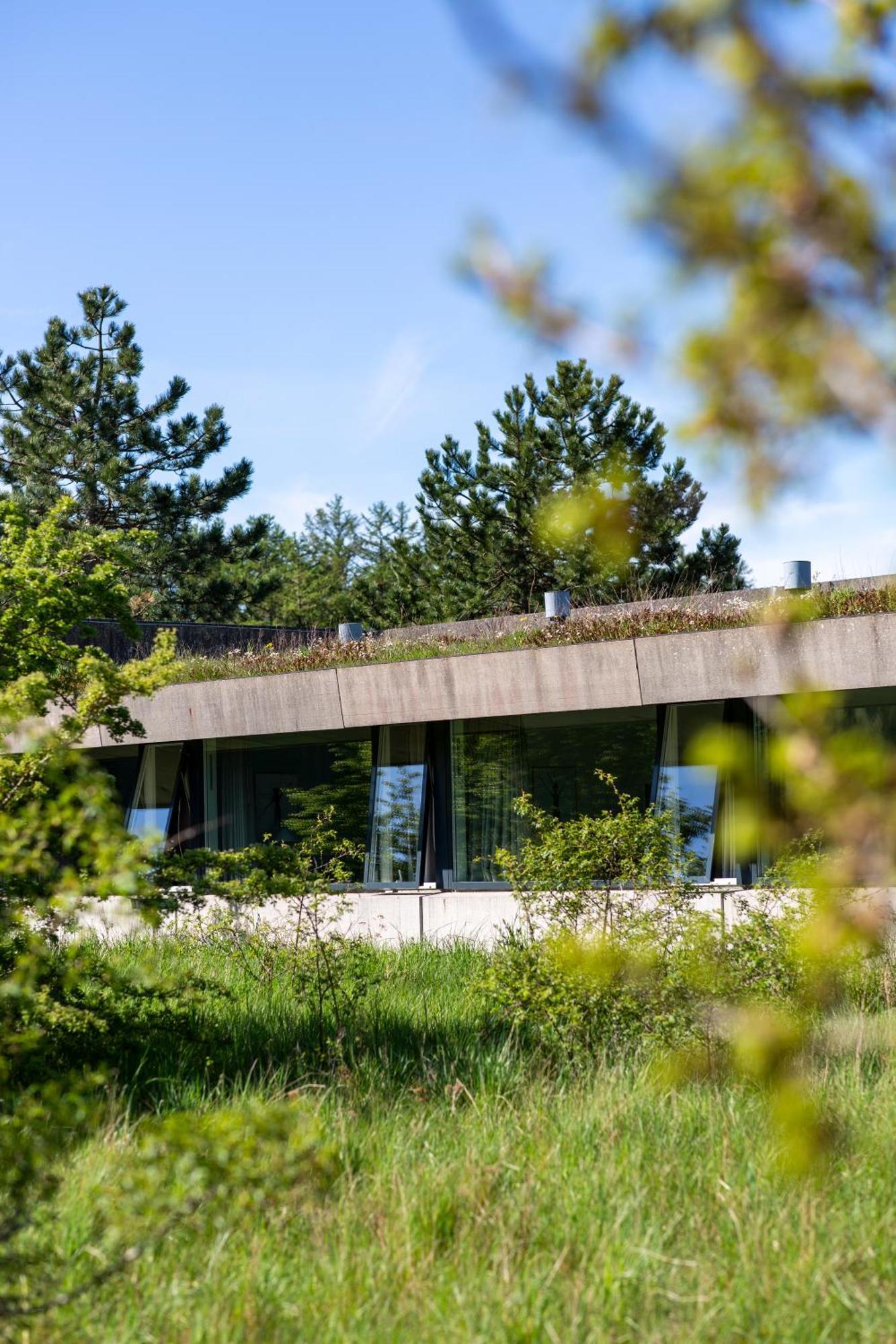 Toppen Af Hotel Ebeltoft